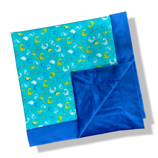 Blue Dinosaur Bordered Minky Blanket