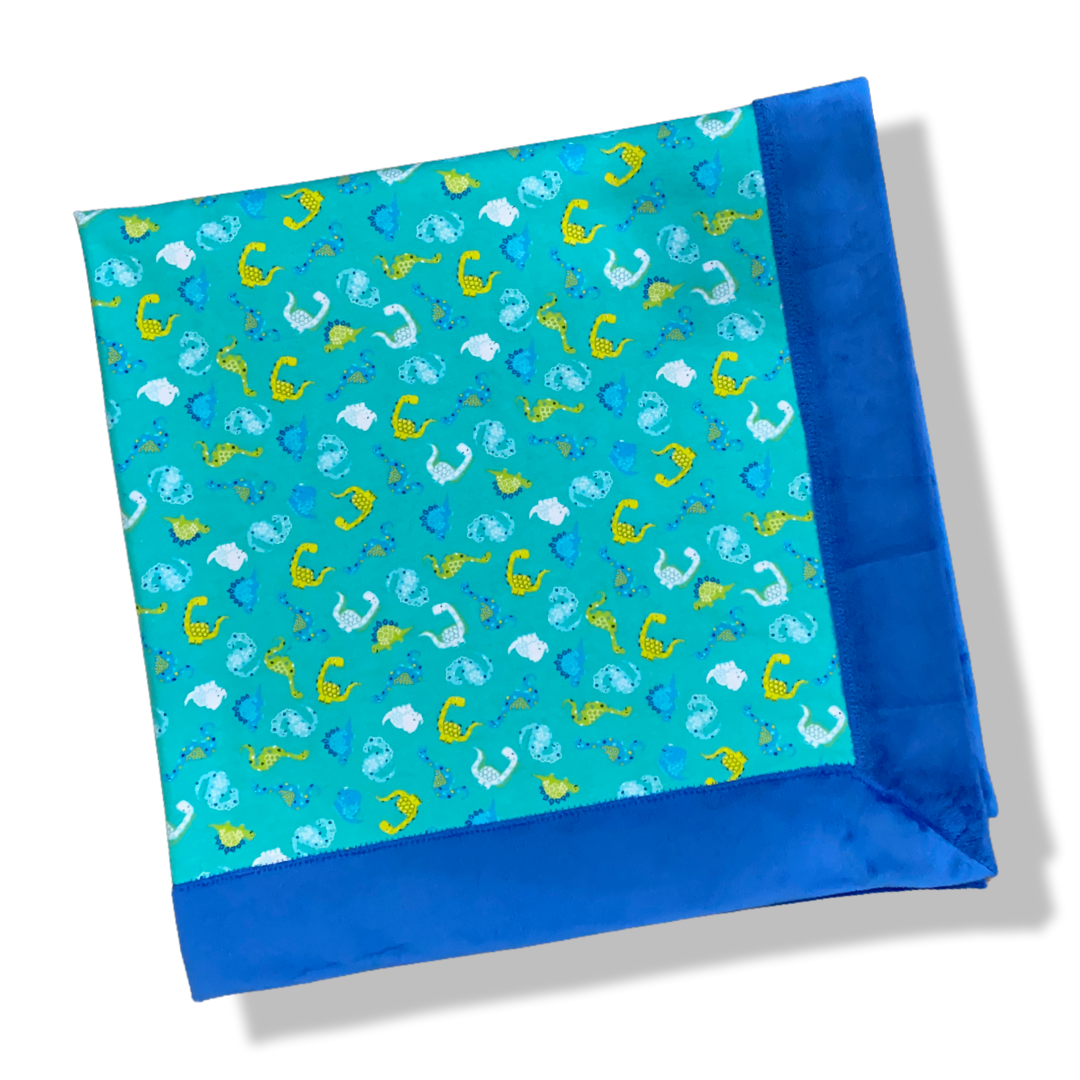 Blue Dinosaur Bordered Minky Blanket