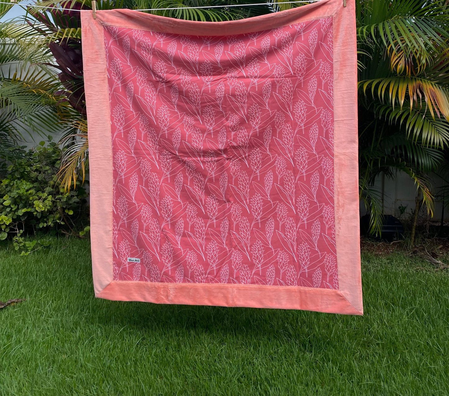 Pink Ginger Bordered Minky Blanket