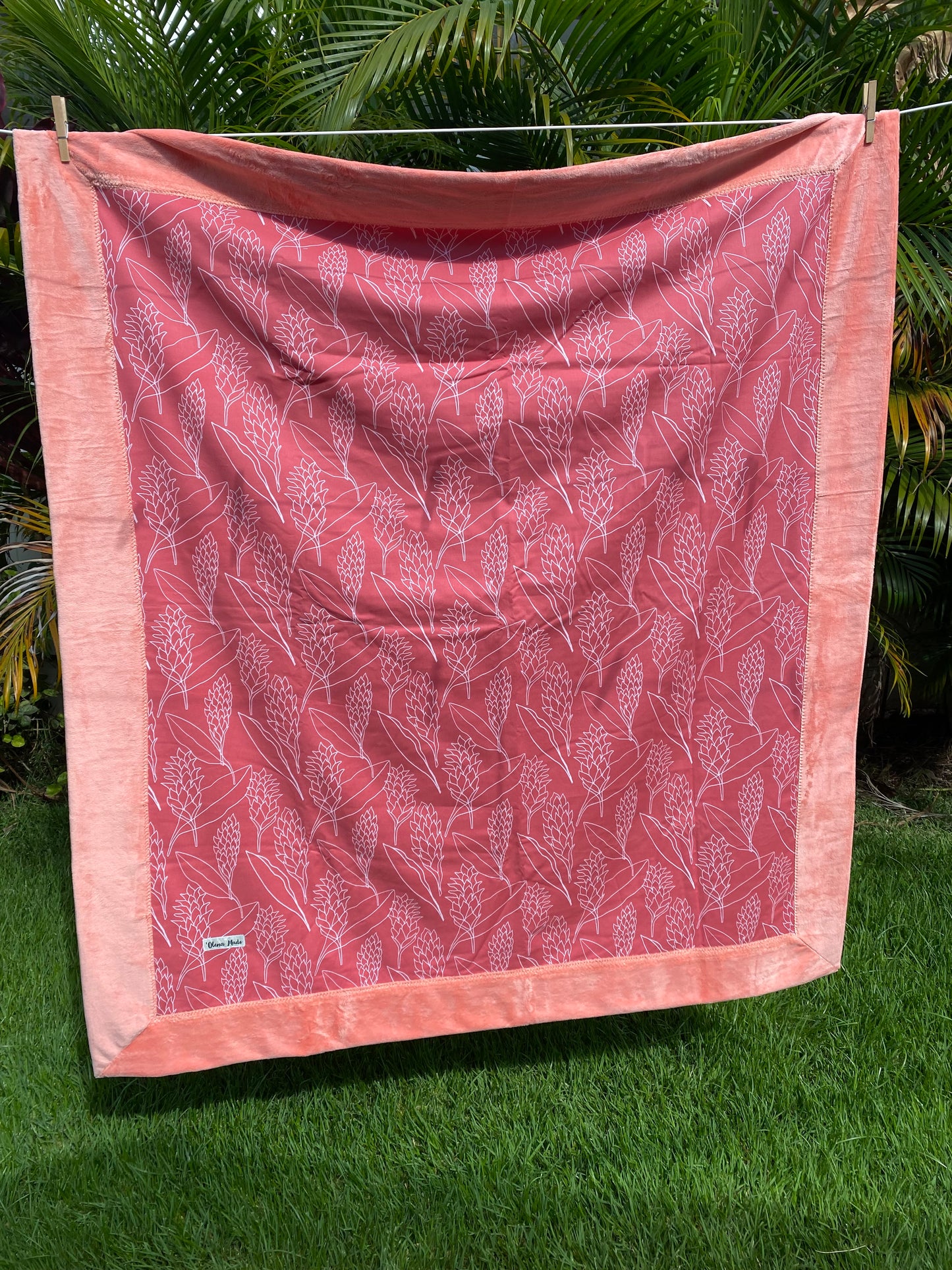 Pink Ginger Bordered Minky Blanket