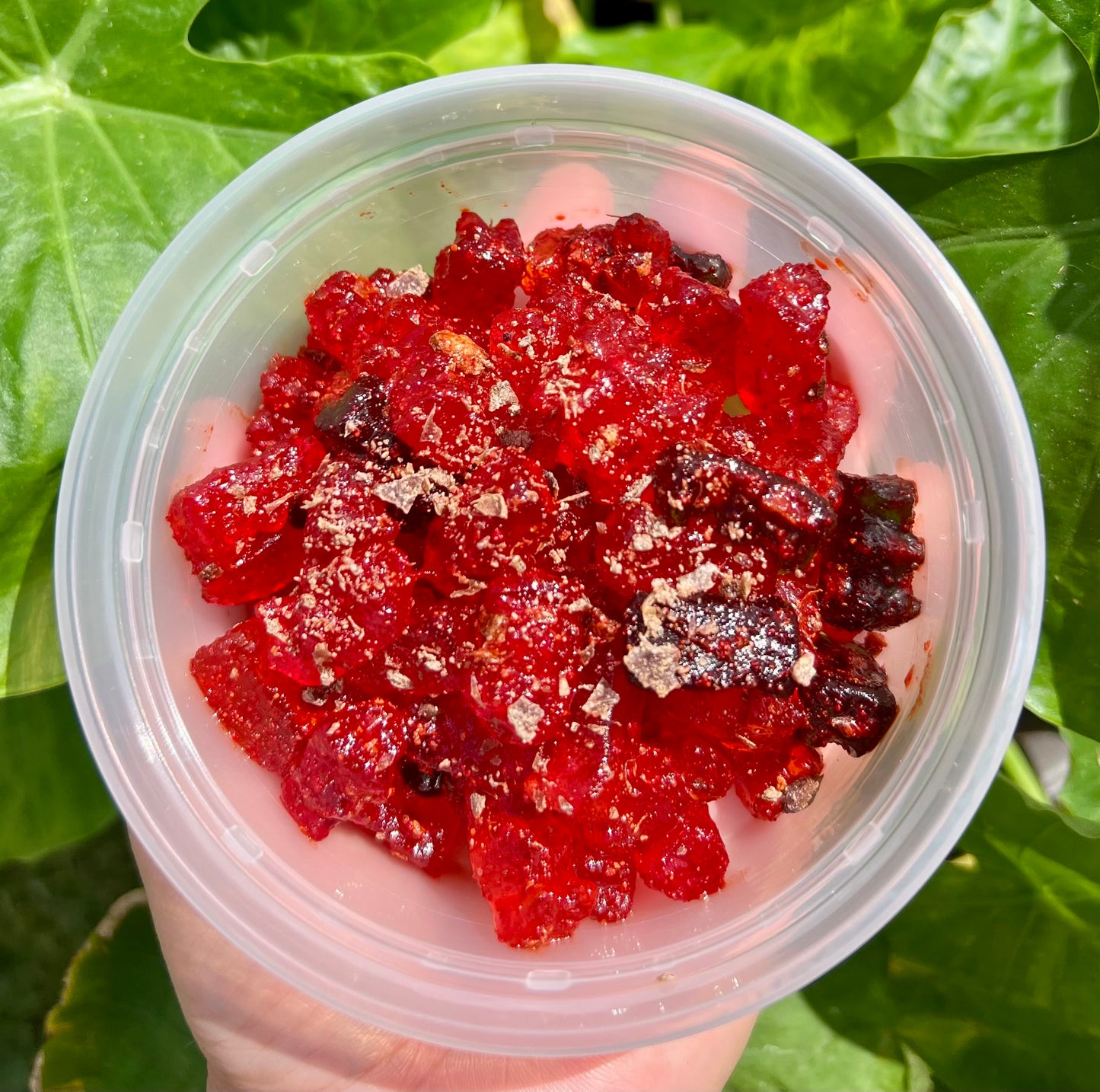 Gummy Bears 5oz