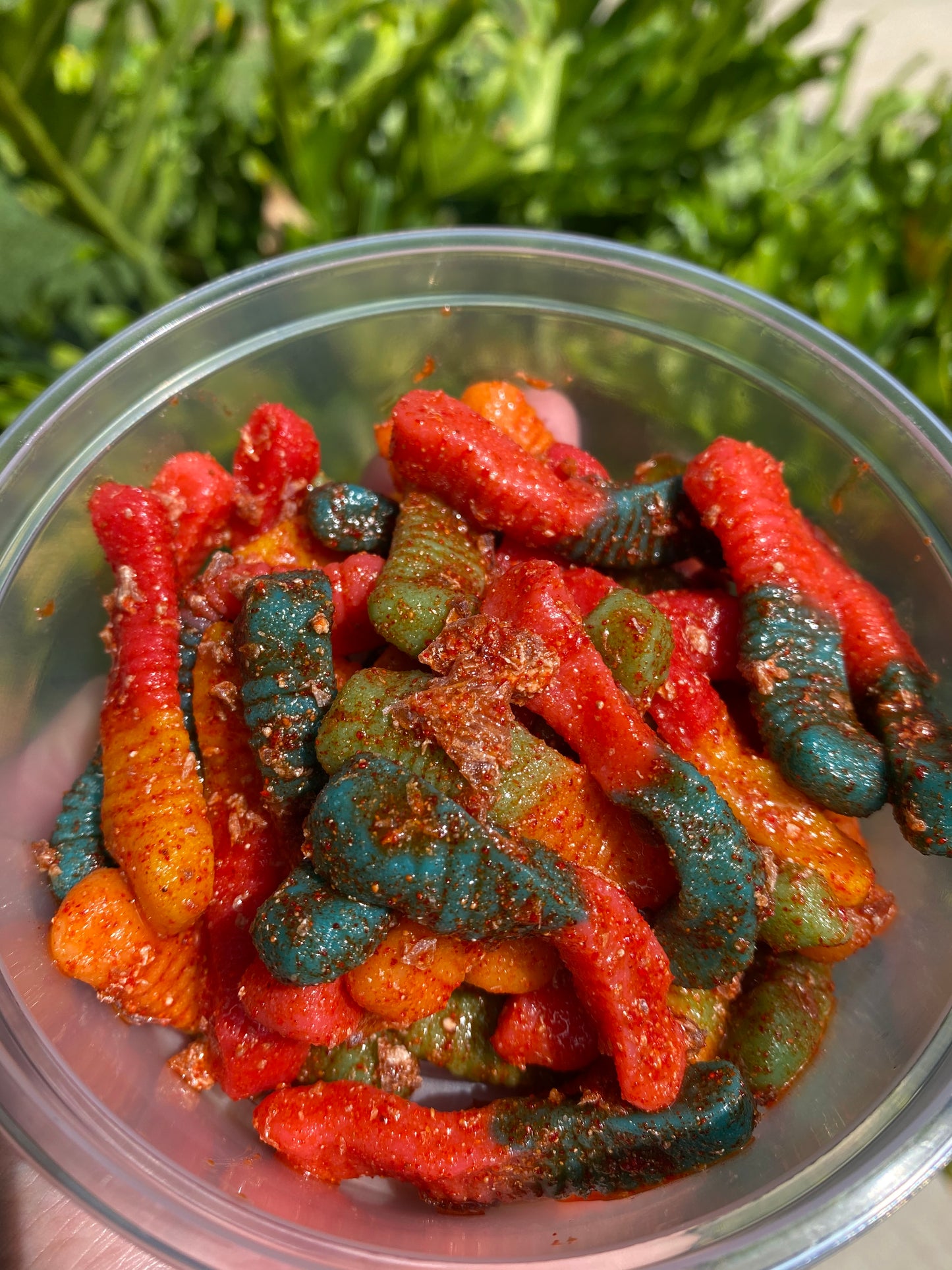 Gummy Worms 5oz